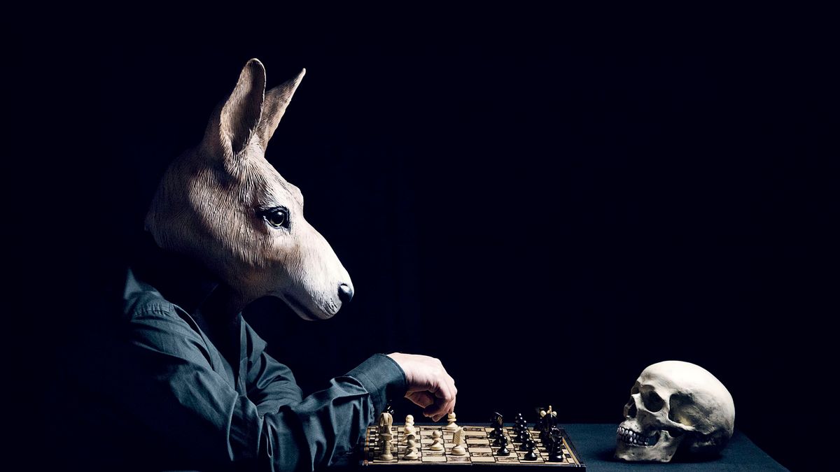 "Moje serce jest zwierzęciem" – rozmowa z Katarzyną i Marcinem Owczarkami 1