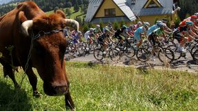 Tour de Pologne 2017: to jest czas Polski! 50 mln ludzi przez kilka dni będzie patrzyło na nasz kraj