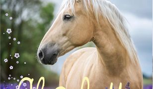 Charlotte i przyjaciółka od serca