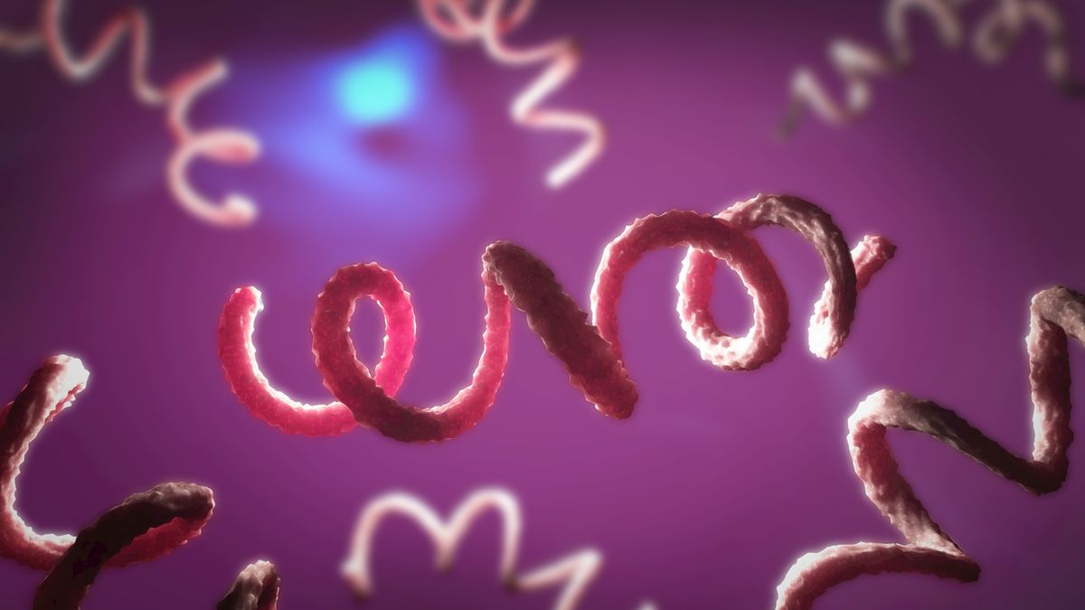 VDRL (ang. Venereal Diseases Research Laboratory) to test przesiewowy na syfilis