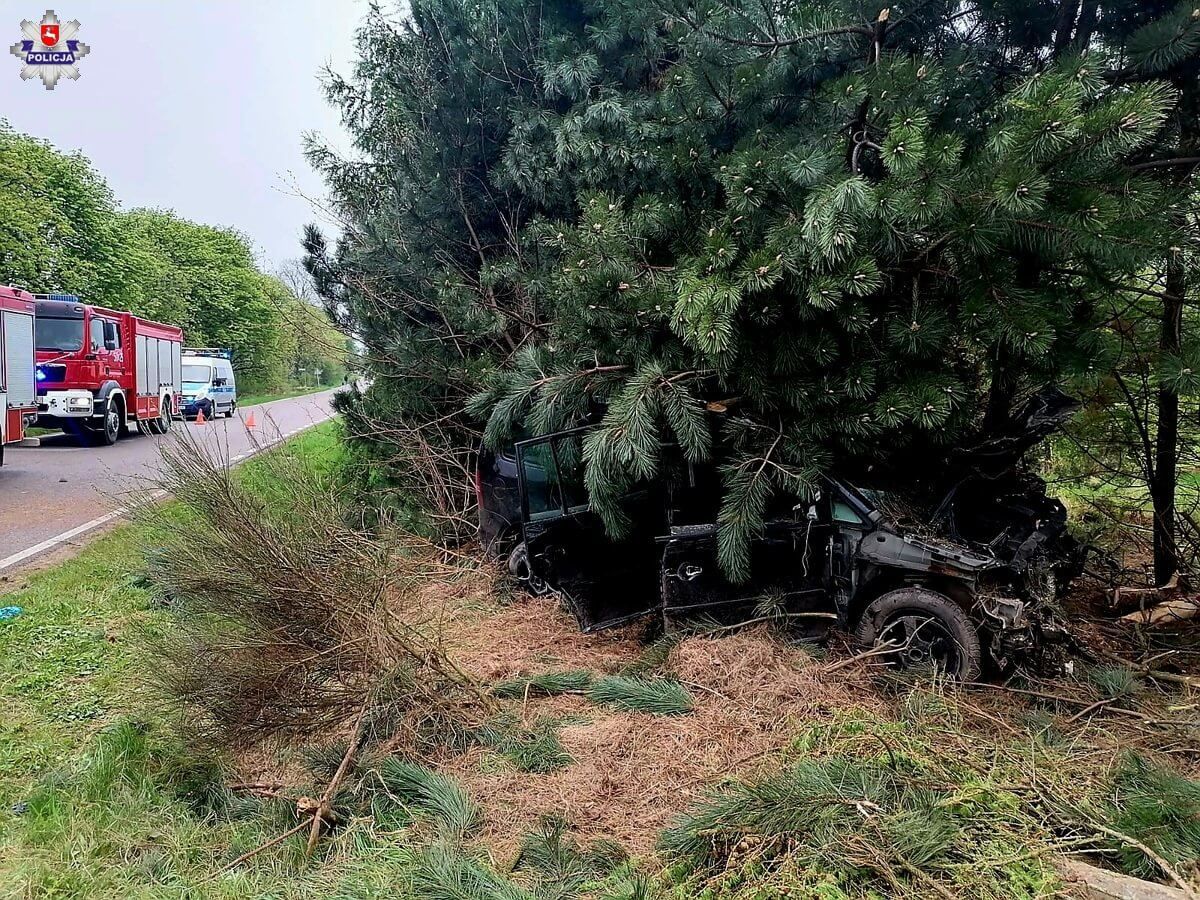 Auto zjechało na pobocze i uderzyło w drzewo