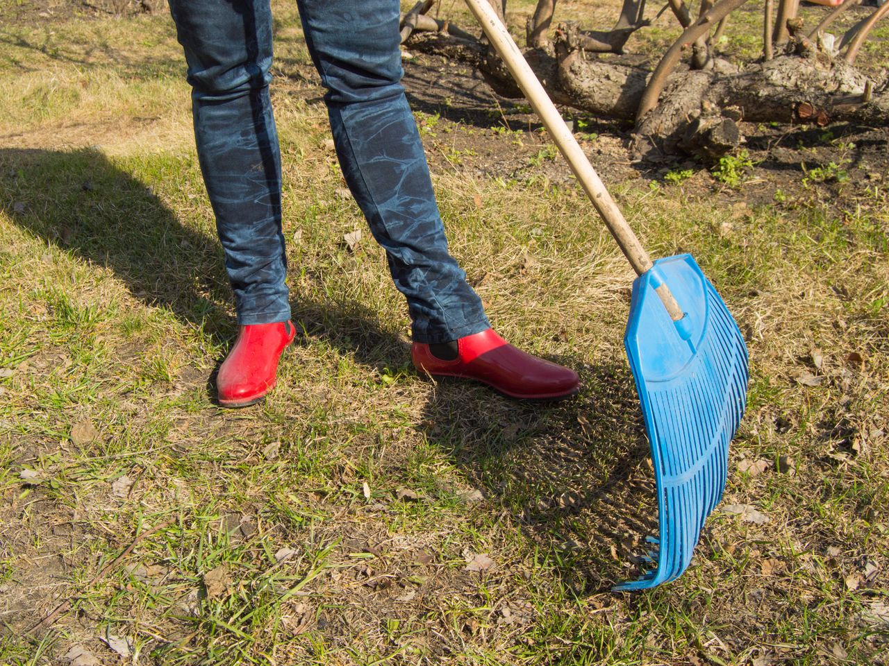 Duży błąd w listopadzie. Na wiosnę z trawnika nic nie będzie