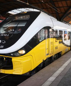Wrocław. Koleje Dolnośląskie kupują kolejne pociągi. Wyprodukuje je PESA