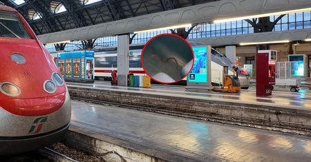 Pasażerowie wpadli w panikę. W pociągu był wąż