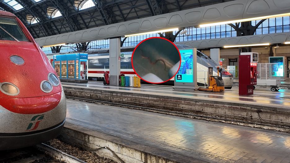 Wąż w pociągu we Włoszech