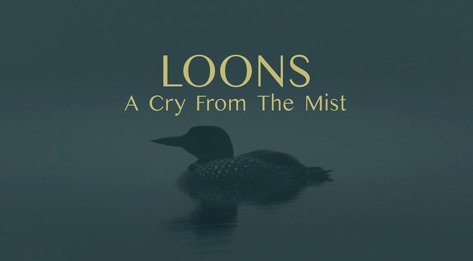 Nury: Krzyk pośród mgły