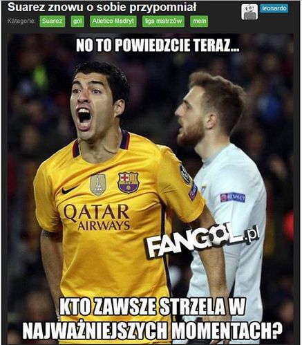 Fot. fangol.pl