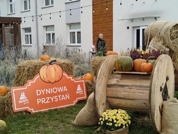 Będzin: Dyniowa Przystań zachwyca. Magia jesieni w Zagłębiu