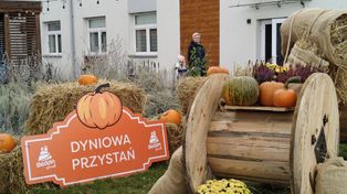 Będzin: Dyniowa Przystań zachwyca. Magia jesieni w Zagłębiu
