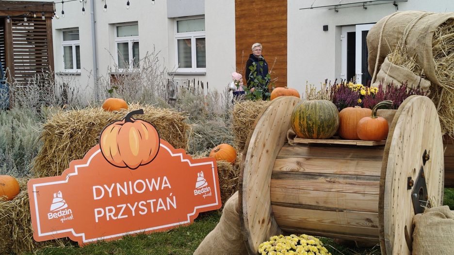 Przewijaj w dół, aby przejść do następnych zdjęć!