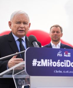 Koniec zbierania grzybów? "To typowe bajdurzenie Kaczyńskiego"