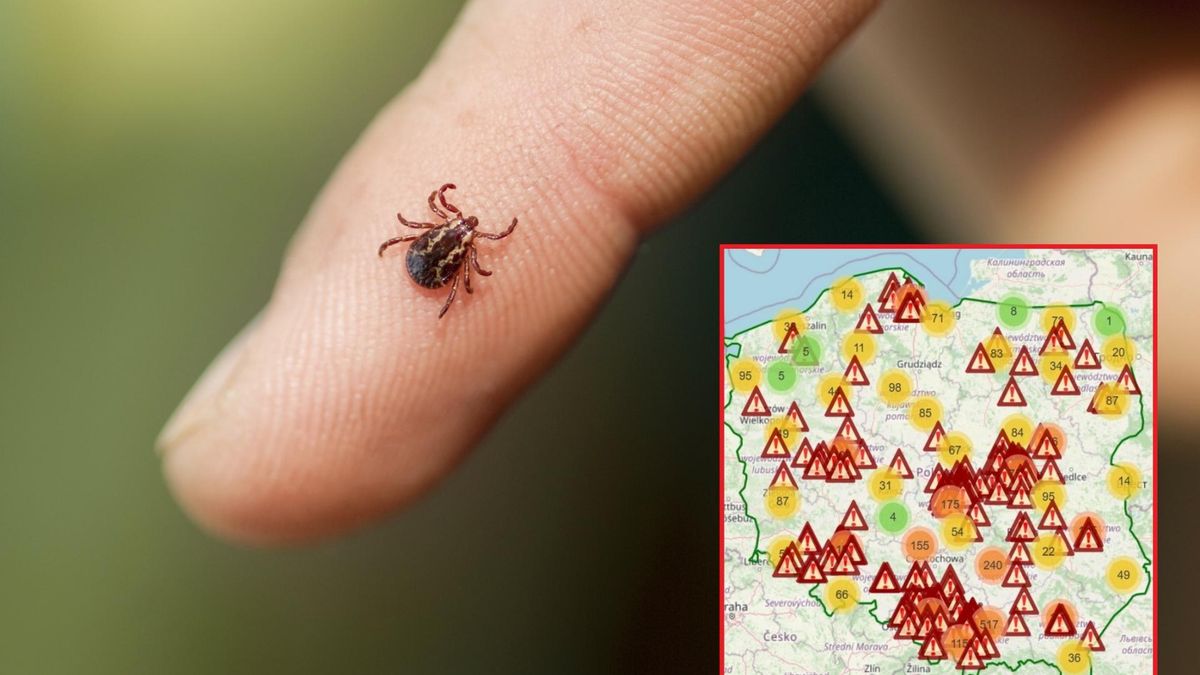 Na mapie każdy może oznaczyć miejsca, w których znalazł kleszcze