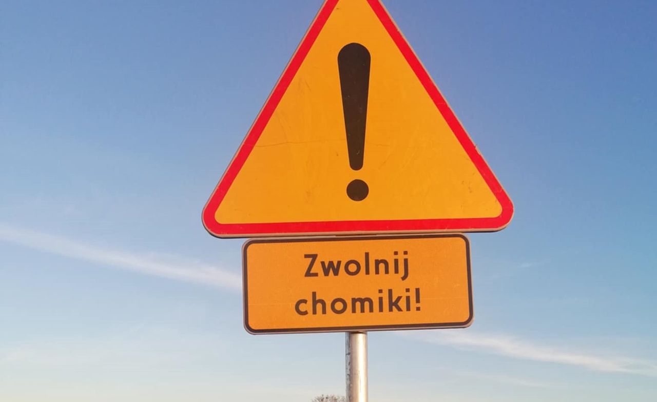 Wszyscy śmieją się ze znaku pod Zamościem. Naprawdę się pojawił
