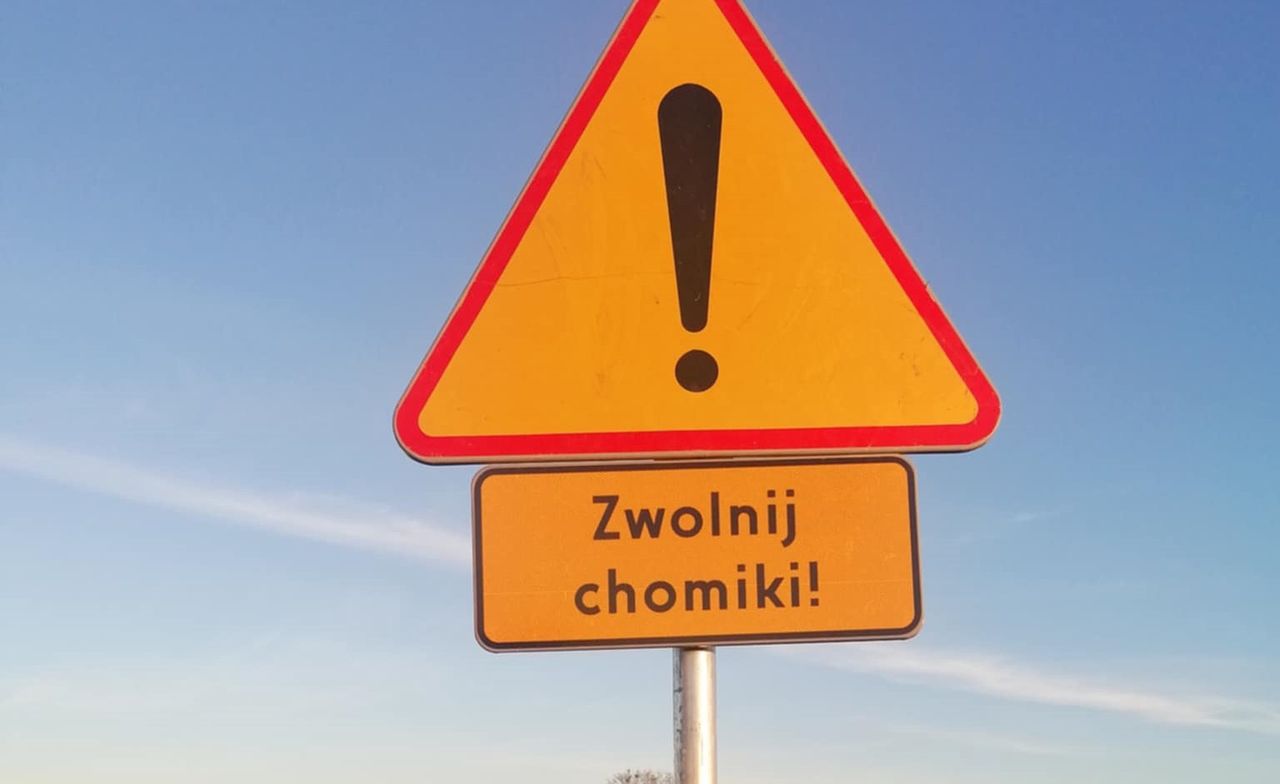 Znak ostrzega kierowców przed chomikami. To nie żarty, ale i tak czekam na memy