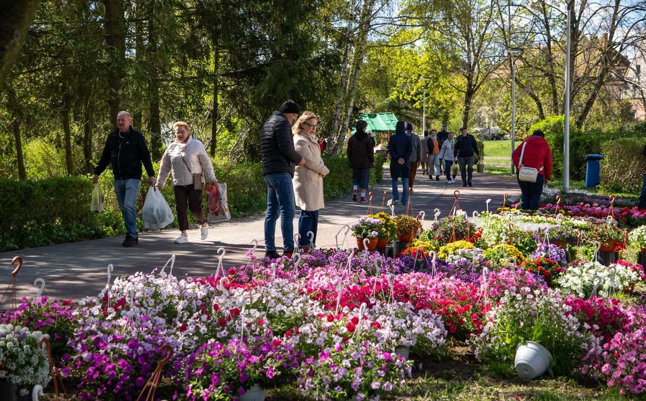 Piła Miasto Ogród