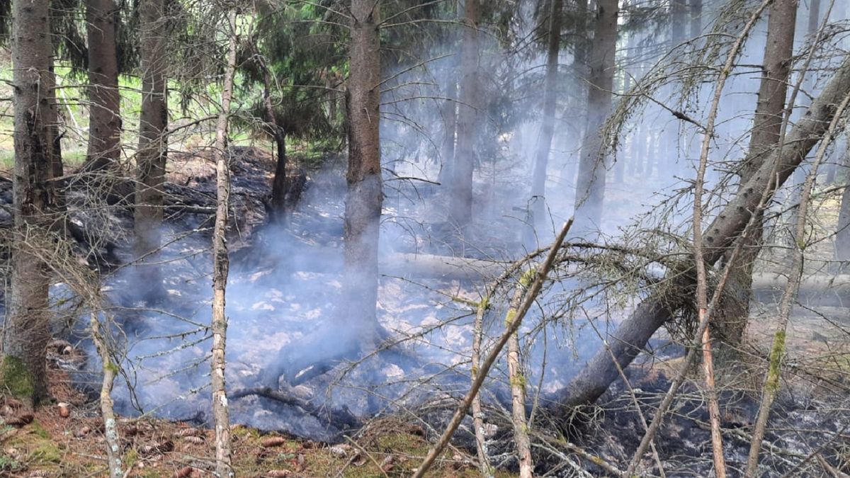 Pożar lasu w okolicach miejscowości Warniłęg
