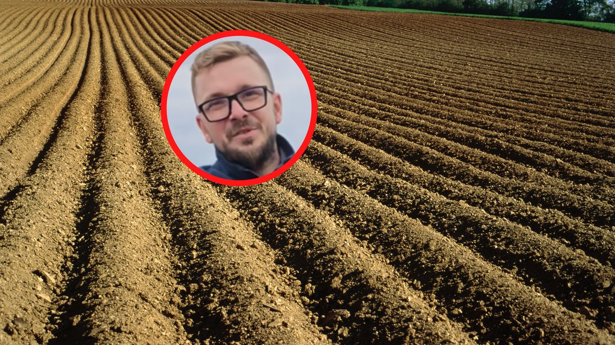 Rolnik zaprasza na samozbiory ziemniaków.