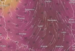 Ekstremalne upały wracają. "Ekspresowa zmiana pogody"