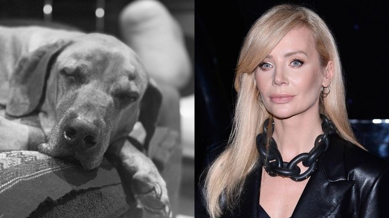 Agnieszka Woźniak-Starak żegna ukochanego psa