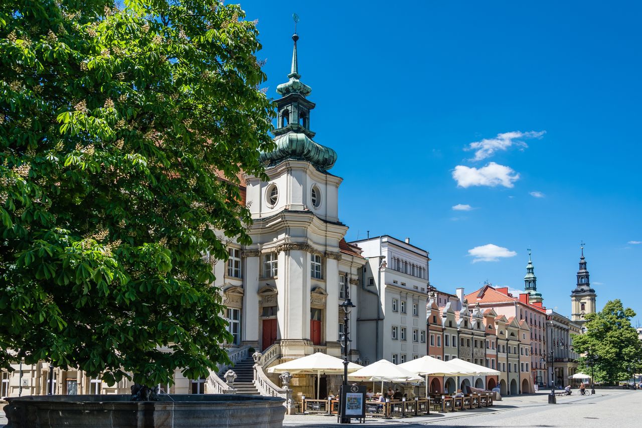 Zagadkowe budowle w sercu polskiego miasta. Prawdopodobnie są starsze, niż sądzono