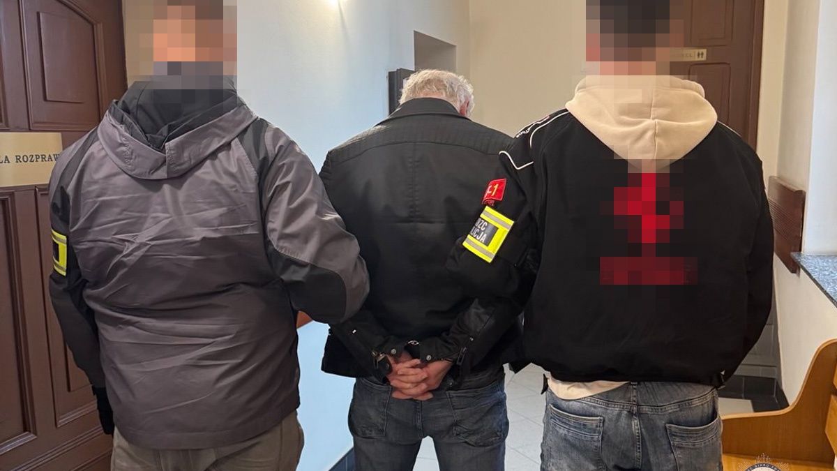 Akcja "Game Over" - policja zatrzymała podejrzanych o pedofilię