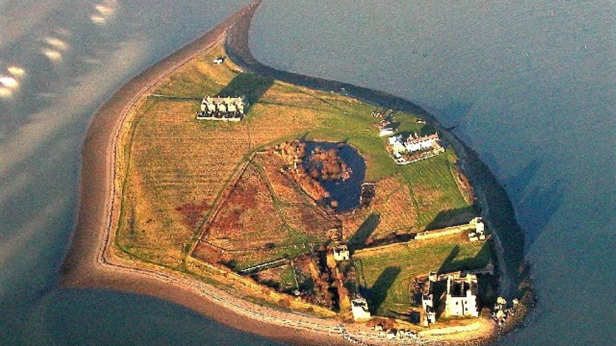 "Król' wyspy poszukiwany 