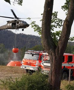 Czeska policja zatrzymała seryjnego podpalacza. Podejrzany o największy pożar
