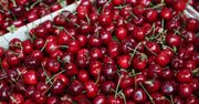 Polskie czereśnie coraz bliżej. Wiemy, ile mogą kosztować