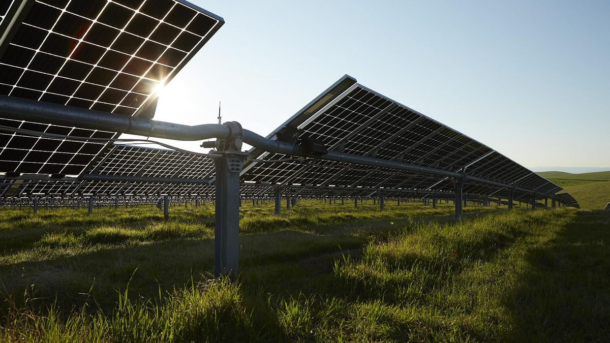 Instalacja fotowoltaiczna na trackerach. System nadążny w fotowoltaice