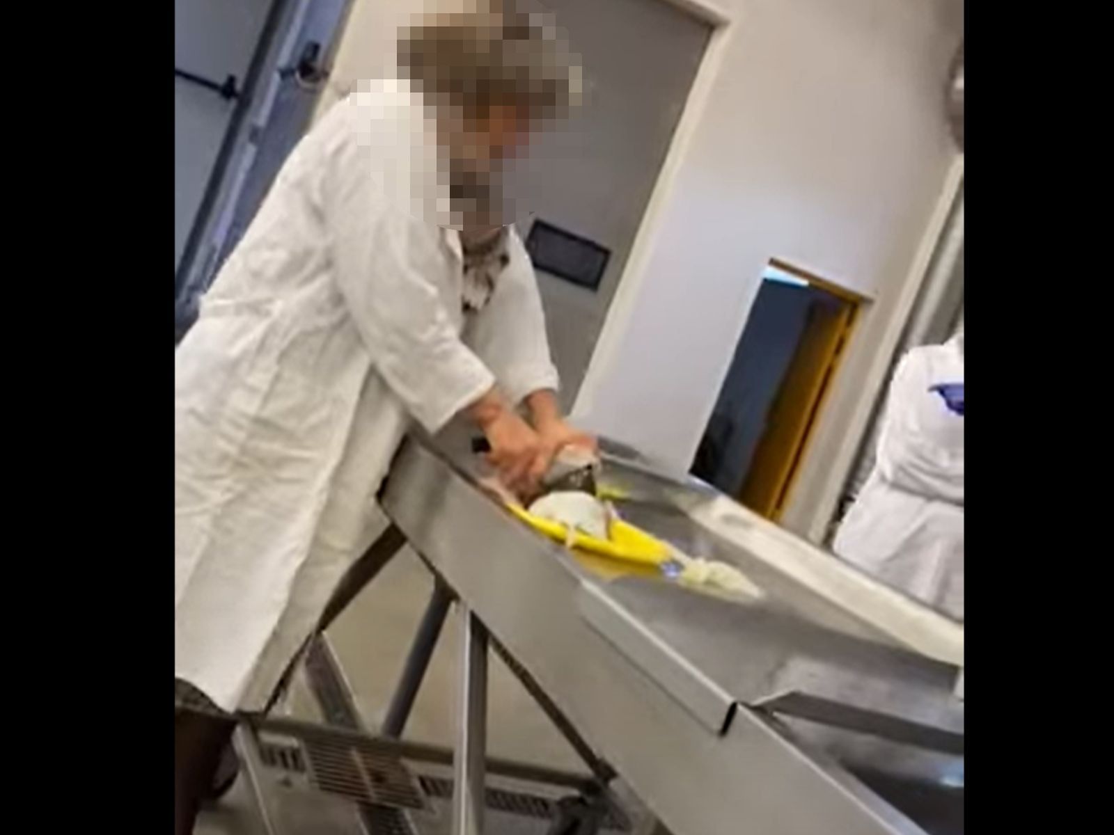 Zajęcia z Uniwersytetu Rolniczego w Krakowie 