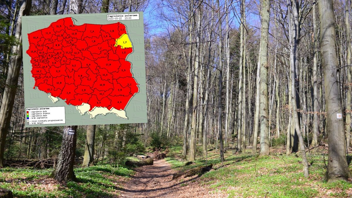 Zagrożenie pożarowe w polskich lasach