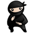 System Ninja icon