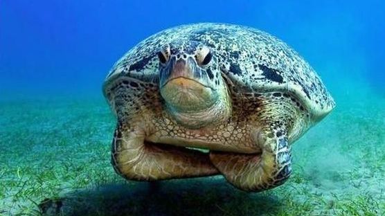 Mam serdecznie dość NAJ w telefonach 1