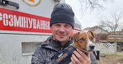 Pies-saper Patron nagrodzony na festiwalu w Cannes. Jego misja ma ogromne znaczenie w Ukrainie