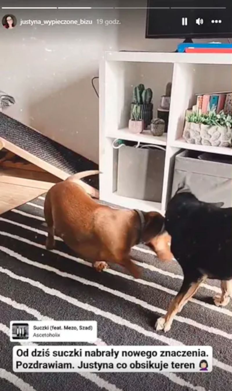 Justyna drwi ze słów ekspertki ze "Ślubu od pierwszego wejrzenia"