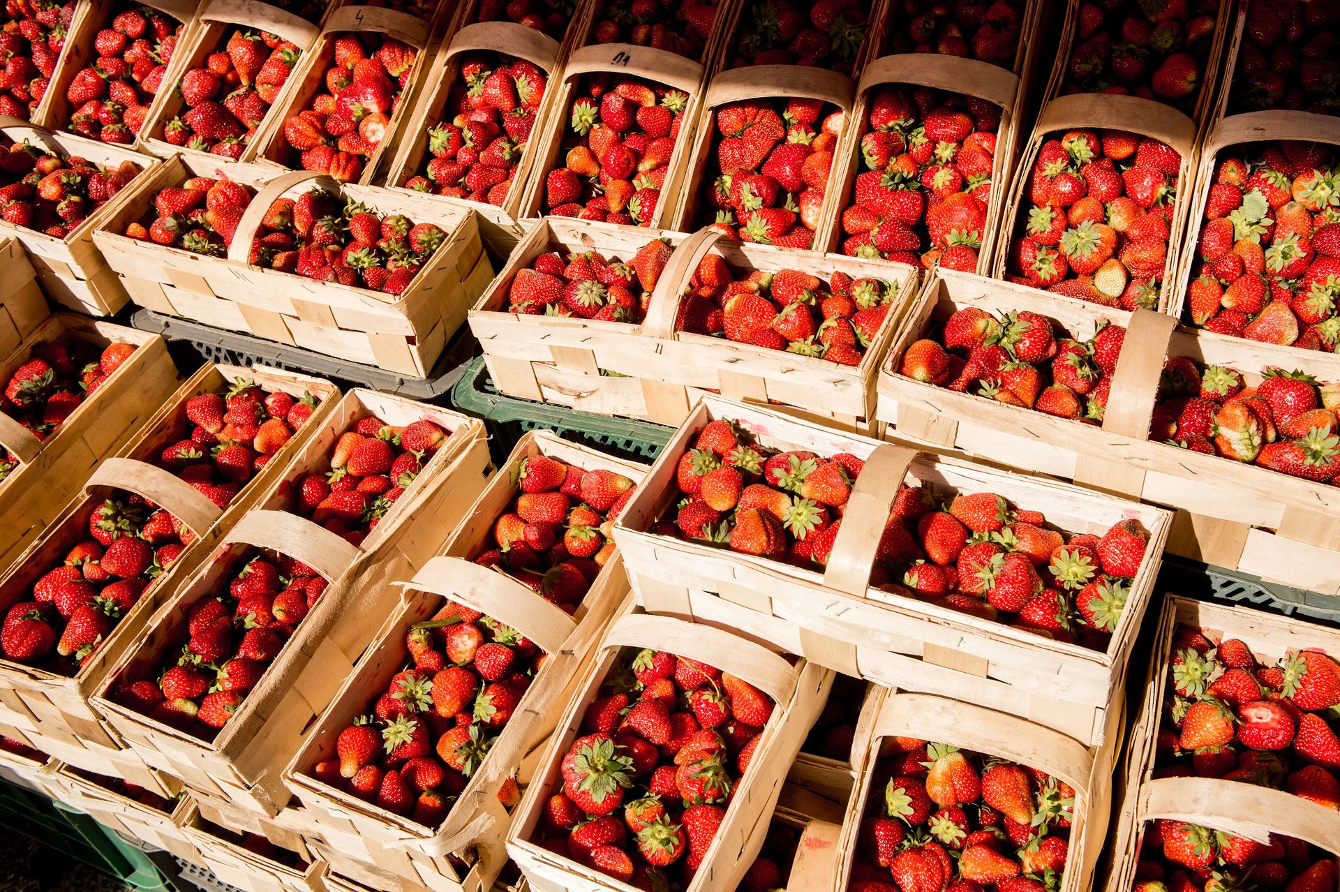 Zaskoczyły ją ceny truskawek w czeskim Lidlu. Tyle kosztują