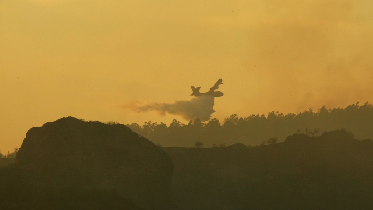 Gigantyczny pożar we Francji. Wywołał go niedogaszony grill (zdjęcie ilustracyjne)