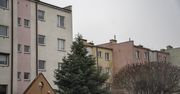 Cześć Chodzież, mamy nowy dzień!