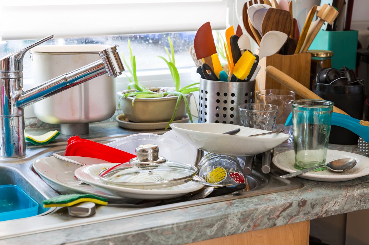 Here are the biggest bacteria habitats in your kitchen