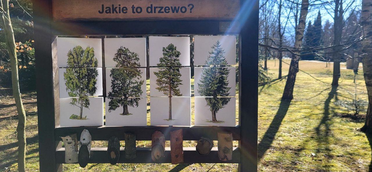 Dzięki tablicom poglądowym wycieczka do Leśnego Banku Genów jest także pouczająca