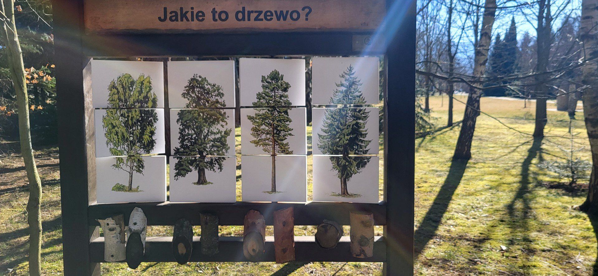 Dzięki tablicom poglądowym wycieczka do Leśnego Banku Genów jest także pouczająca