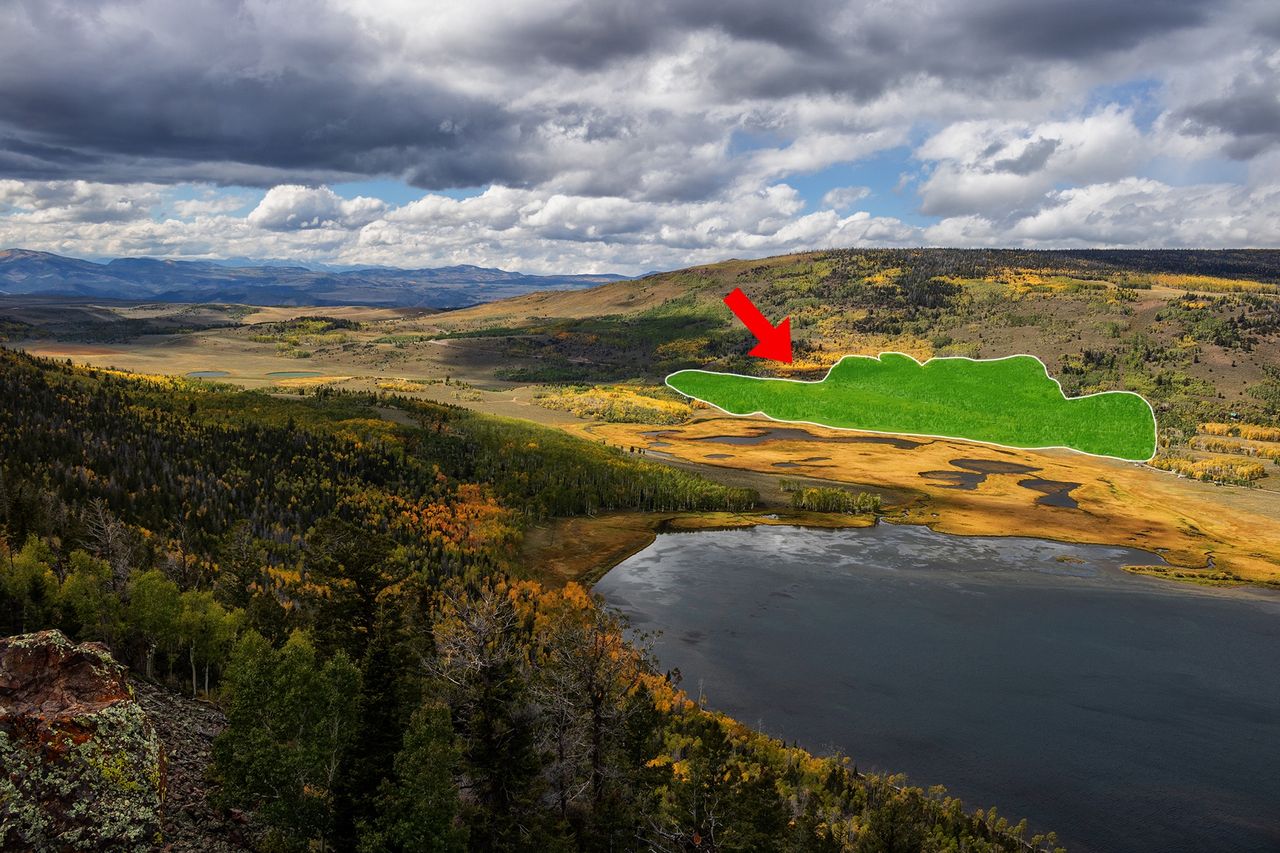 Pando area in Utah (marked in green)
