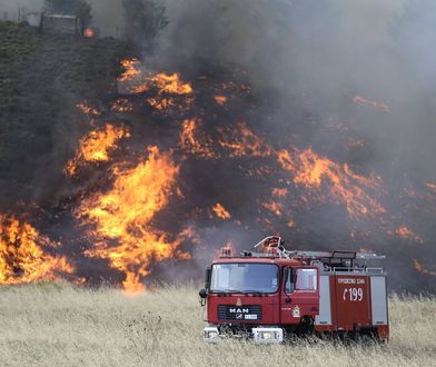 Grecja. 10-kilometrowy pas ognia. Są 54 nowe pożary