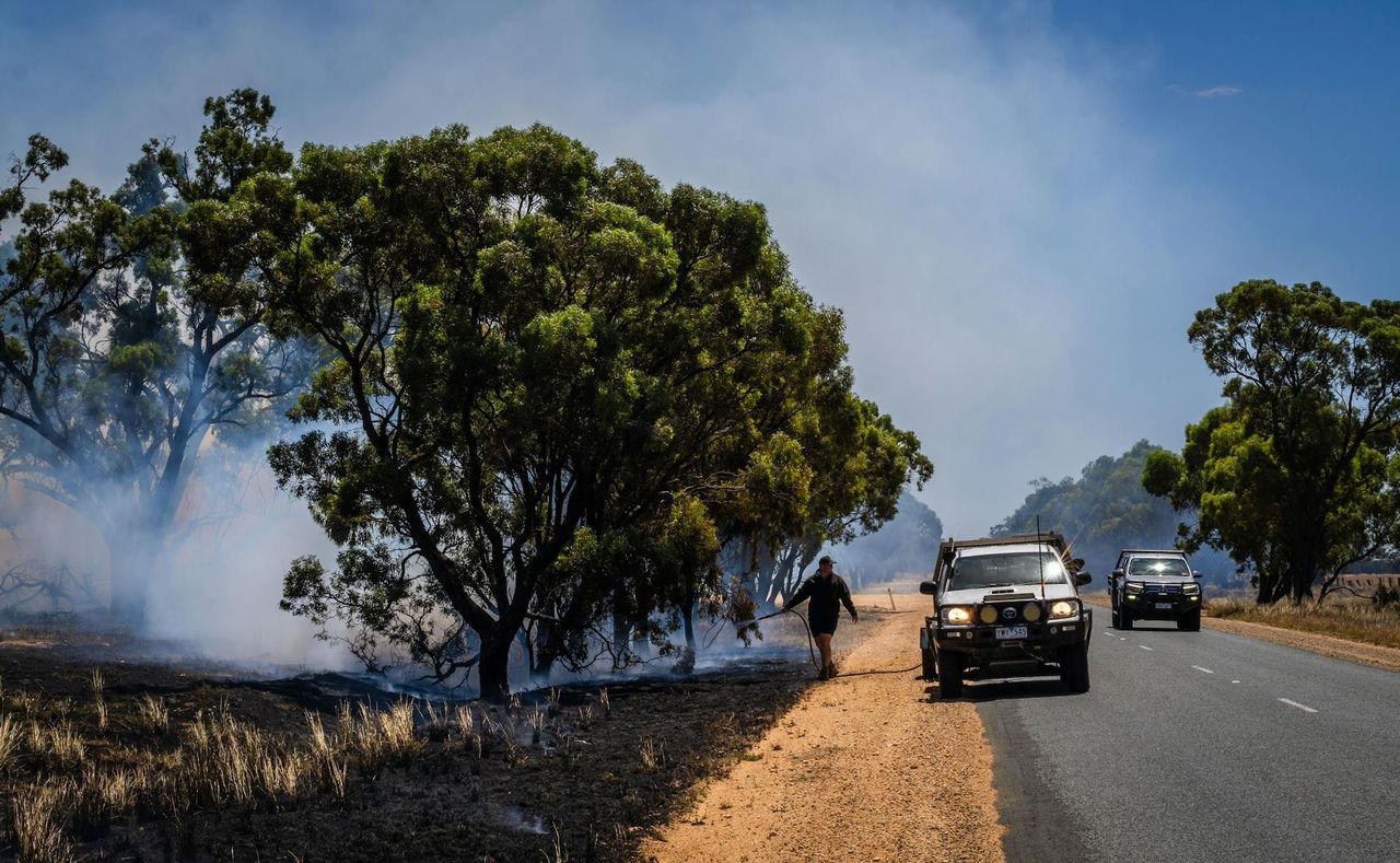 Sydney bije rekordy temperatury. Rośnie ryzyko pożarów