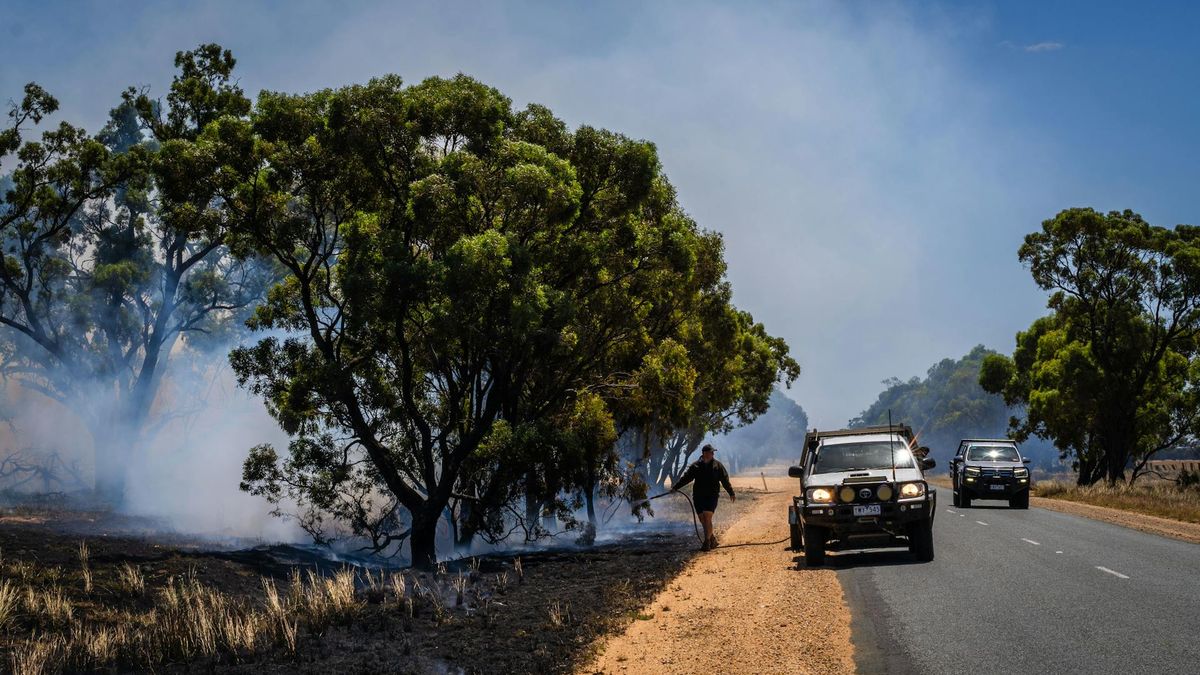 Rekordowe upały w Sydney - zagrożenie pożarami rośnie [zdj. ilustracyjne] 