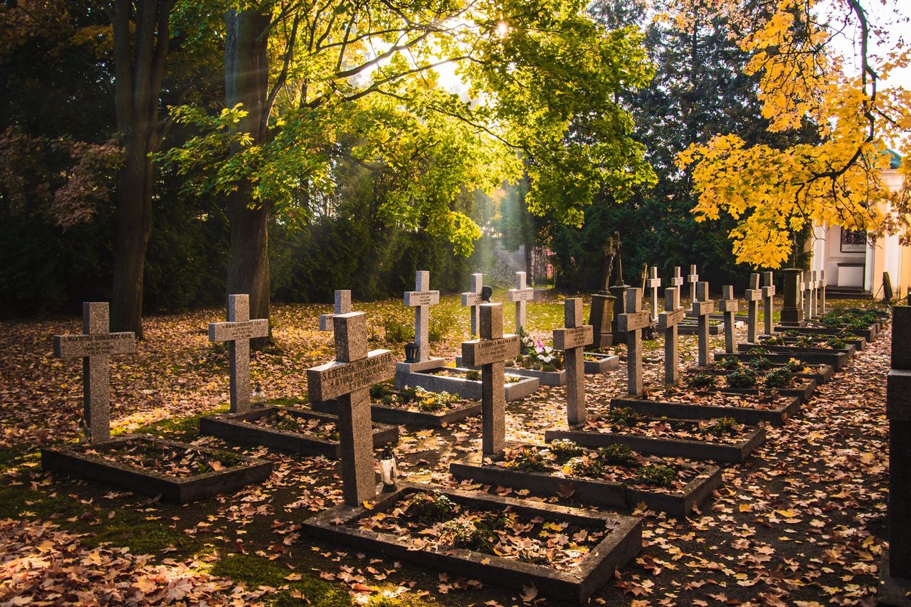 Krzeszów jest miejscem niezwykle ważnym dla historii Dolnego Śląska