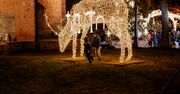 Mikołajki w Płockich Ogrodach Światła