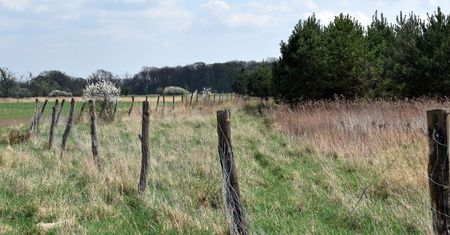 Inwestycje na obszarach Natura 2000. Więcej czasu na złożenie wniosków