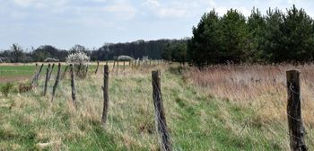 Inwestycje na obszarach Natura 2000. Więcej czasu na złożenie wniosków