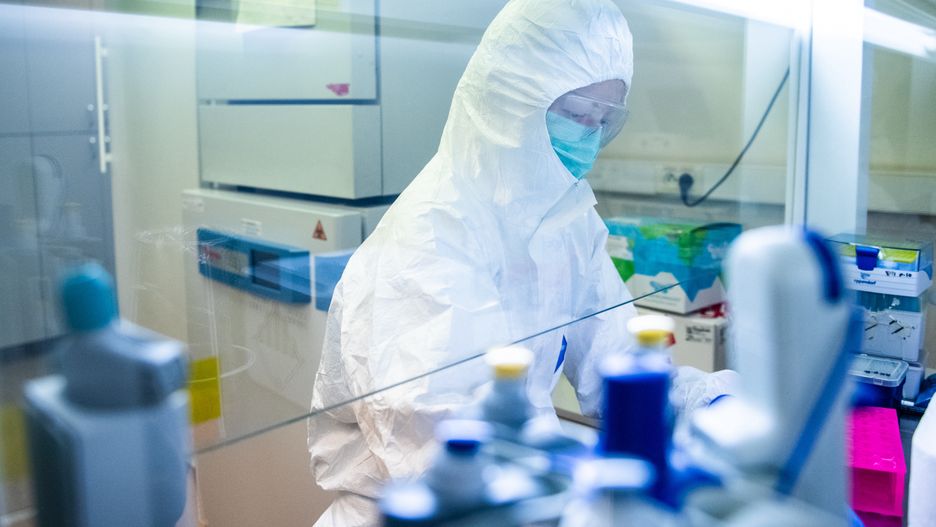 Koronawirus przechodzi mutacje. Eksperci mówią, że nie musi to być groźne